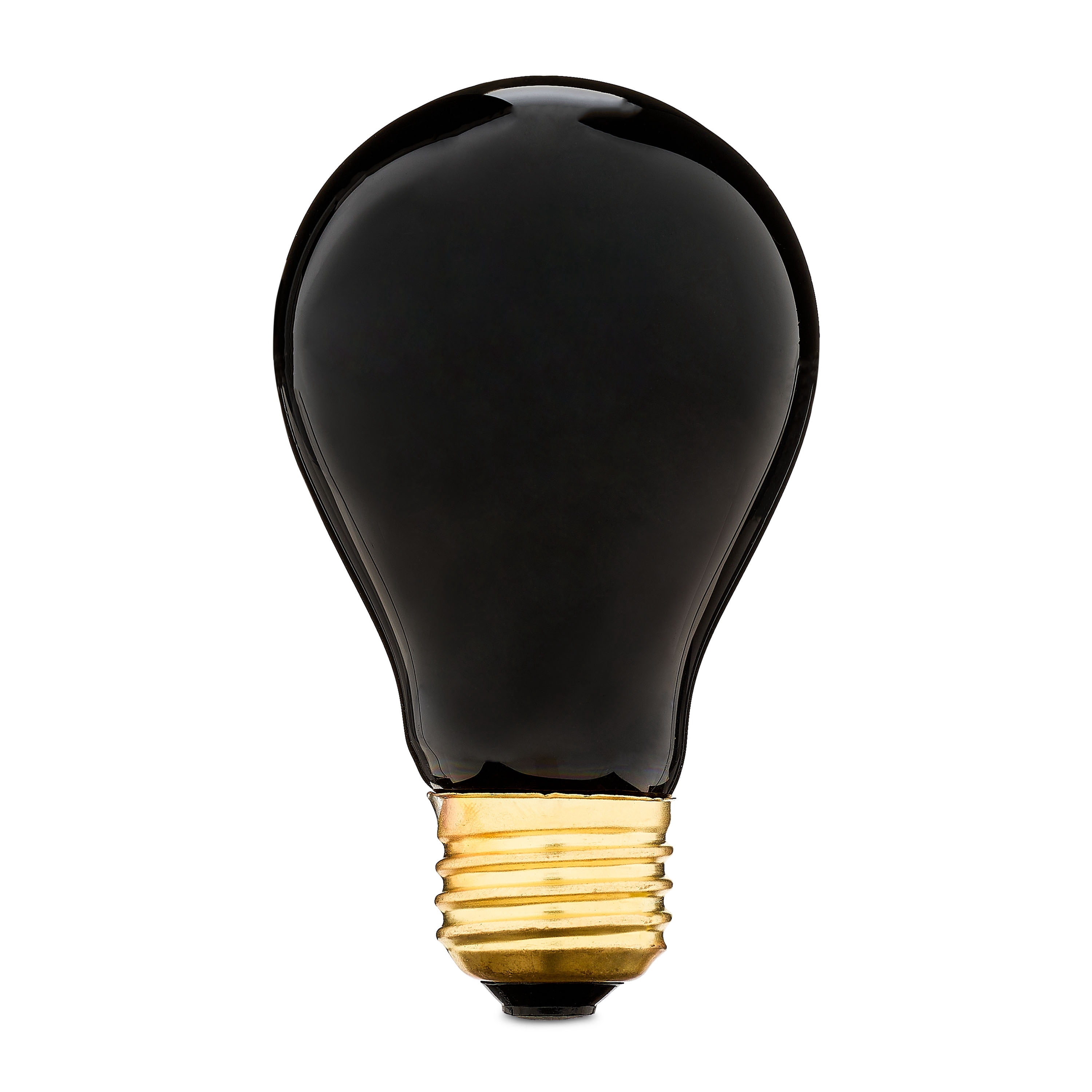 Vibrant Life Nighttime Heat Bulb for Reptiles, 75 Watts