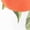 White-2, variant on Women's Orange Blossom & Citrus Graphic Watercolor Floral Comfortable T Shirt Short Sleeve Round Neck Top White S-5XL