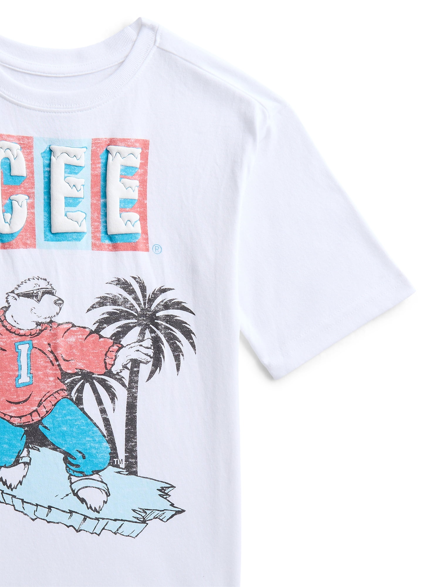 ICEE Boys Graphic Tee with Short Sleeves, Sizes 4-18