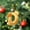 D, variant on Gold 26 Letter Ornaments for Christmas Tree Decoration - Personalized Hanging Pendant Xmas Alphabet for DIY Craft Ornaments (A)