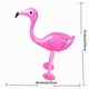 thumbnail image 3 of Globo inflable Tropical de PVC Naiovety para fiesta hawaiana accesorios de playa, 3 of 6