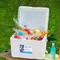 thumbnail image 3 of Portable 5L Insulated Cooler Box with Ice Packs, Outdoor Picnic/Camping Container, Leak-Proof Design, 3 of 7