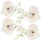 thumbnail image 1 of Table Decors 4Pcs White Silk Flower Delicate Serviette Buckle with and Elegant Style, 1 of 5