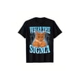 thumbnail image 1 of Camiseta de algodón puro con estampado de letras y un lindo gatito naranja. Camiseta informal de temporada para hombre. Camiseta de manga corta de algodón puro con cuello redondo. Camiseta de alta gam, 1 of 7