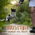 thumbnail image 4 of Fruitables Baked Dog Treats – Pumpkin Treats for Dogs – Healthy Low Calorie Treats – Free of Wheat, Corn and Soy – Sweet Potato and Pecan – 7 Ounces, 4 of 7