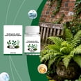 thumbnail image 4 of Hydroponic Water Purification Tablets | Plant Nutrient Solution Cleaner | Water Treatment for Hydroponic Systems | Removes Impurities for Indoor Gardening and Hydroponic Grow Kits, 4 of 6
