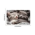 thumbnail image 3 of Mog Floor Mat, Indoor Outdoor Rug With Non-Slip Backing, for Porch Hallway and Pet Feeding Area, Multi-color, 3 of 6