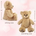 thumbnail image 3 of LotFancy  15" Teddy Bear Stuffed Animals, Soft Plush Bear with Footprints, Gifts for Girls Girlfriend Wife, 3 of 7