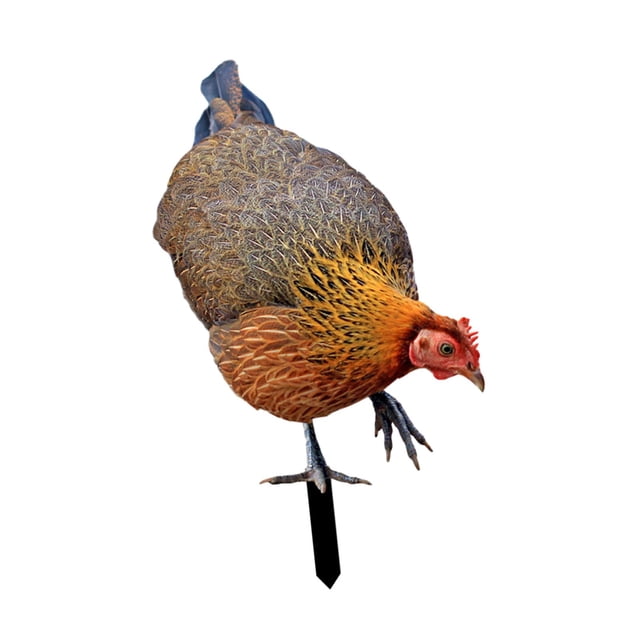 Estaca de gallo para jardín, gallina, adornos realistas, decoración de suelo resistente a la intemperie, animal A