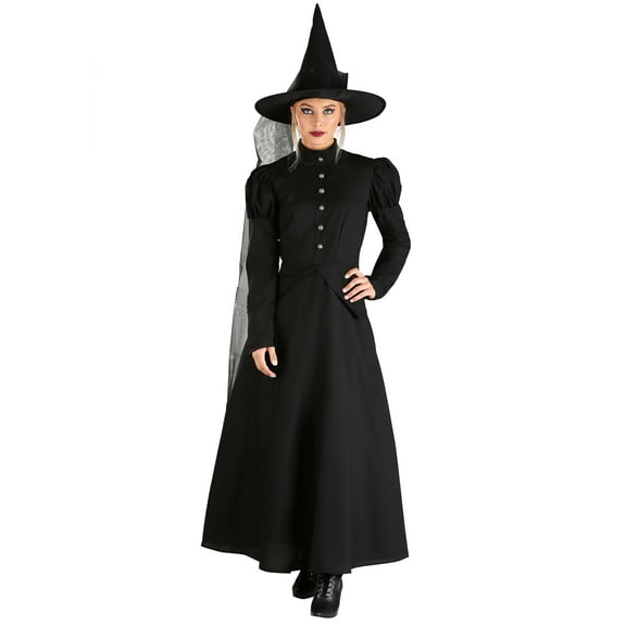 Deluxe Wicked Witch Costume