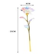 thumbnail image 4 of Christmas Rose Galaxy Valentine‘s Colorful Gift Artificial Flower Artificial Flowers, 4 of 5