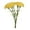 D, variant on Floral Arrangement for Home Carnation Array in Vase with Daylight- Realistic Petals and Lifelike for Elegant Interior