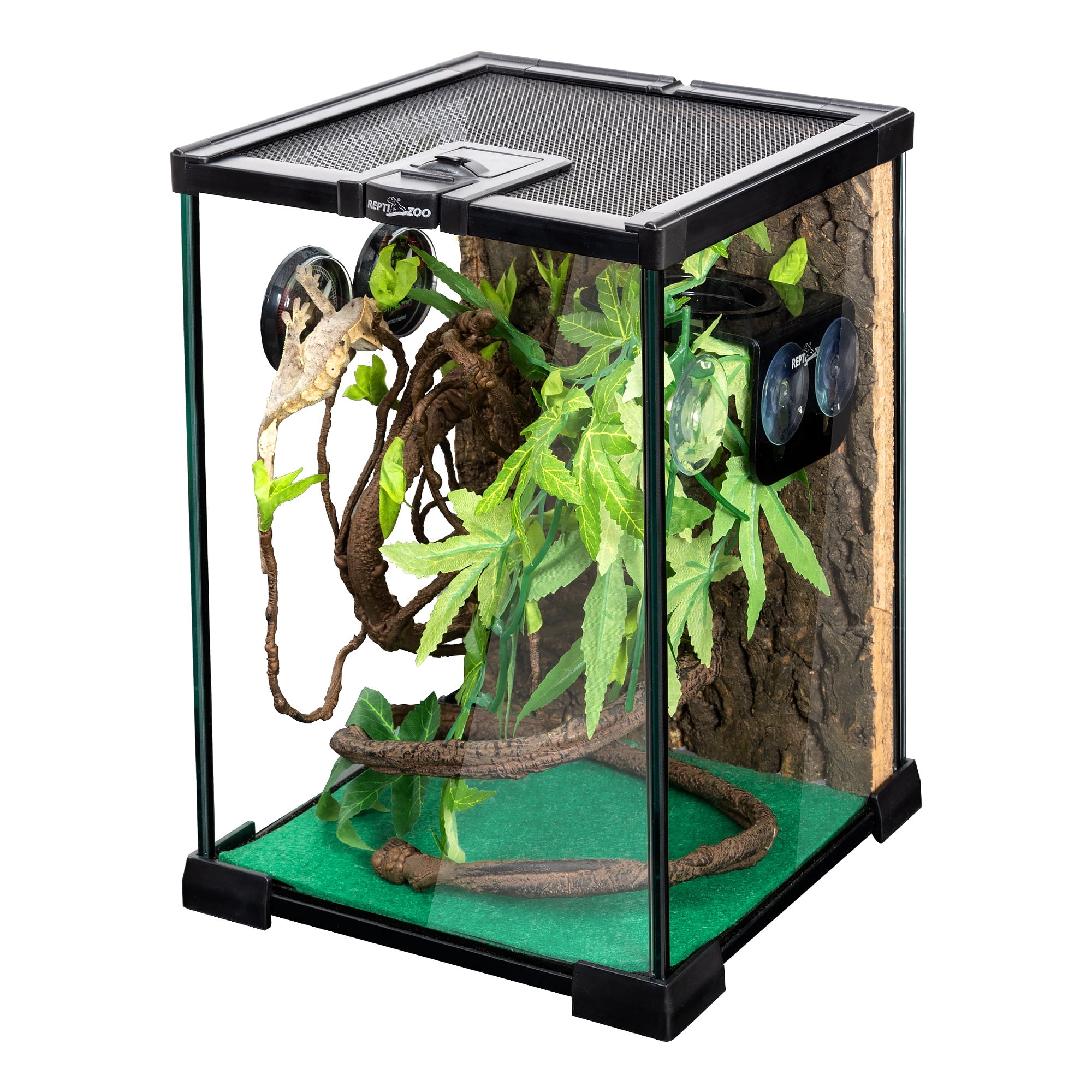 8 x 8 x 12 terrarium