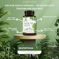 thumbnail image 6 of Pata de Vaca Té (Cow's Foot Tea) – 24 Bags – 100% Natural Infusion – Vegan, Non-GMO, Gluten-Free + Pata de Vaca Capsules – 1500 mg Per Serving, 90 Veggie Caps – Organically Grown – 100% Natural, Prem, 6 of 9