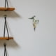 thumbnail image 4 of unidades de jarrones de vidrio decorativos de pared, con forma de cono, para hidroponía., 4 of 7