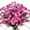 Fushia, variant on Sinhoon Artificial Daisies Flowers Outdoor UV Resistant 4 Bundles Fake Faux Plants Shrubs Plastic Bushes for Hanging Planter Indoor Outside Decor (Fushia)