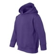 thumbnail image 2 of Rabbit Skins Toddler Pullover Fleece Hoodie, 2 of 5