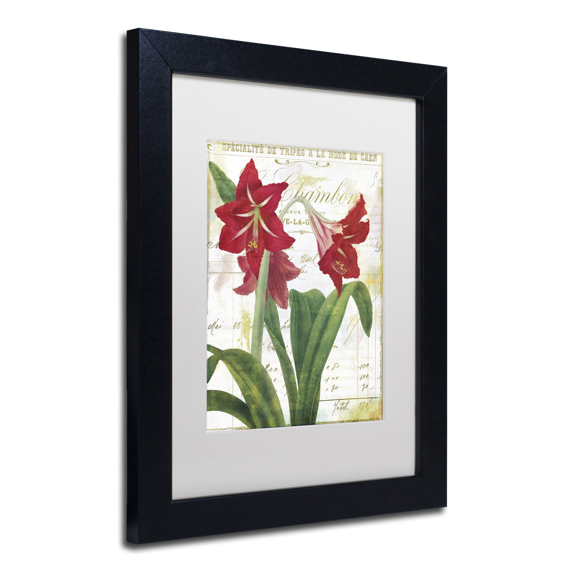 Trademark Fine Art "Peppermint Amaryllis" Canvas Art by Color Bakery White Matte, Black Frame