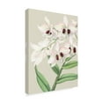 thumbnail image 2 of Trademark Fine Art 'Small Orchid Blooms II' Canvas Art by Vision Studio, 2 of 4