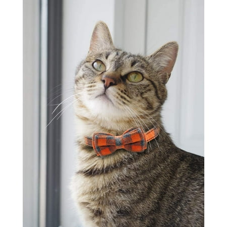 Collier Pour Chat Avec Cloche Et Nœud Papillon Collier Anti Etranglement Pour Chat Collier De Securite Ajustable Pour Chaton Et Chat 1 Paquet Orange Walmart Canada Collier Pour Chat Avec Cloche Et Nœud Papillon Collier Anti Etranglement Pour Chat Collier De Securite Ajustable Pour Chaton Et Chat 1 Paquet Orange Walmart Canada