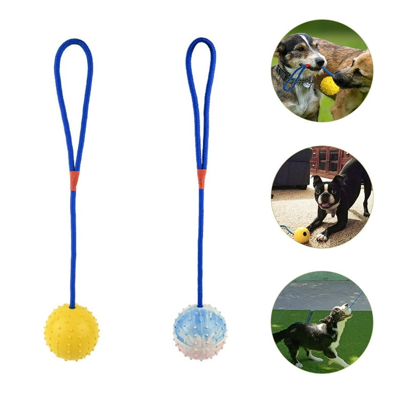 Dog Toys Assorted Play Bundle Puppy Pet Ropes Chew Squeaky Fetch Balls  Training