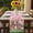 Light Pink Bright Red Grass Green, variant on Valentine's Day Table Runner - 48 Inch Long, Kitchen Dining Table Runner Dresser Scarves, Funny Dogs Love Roses Spring Pink Plaid Farmhouse Decor for Coffee Tables Wedding Party Banquet