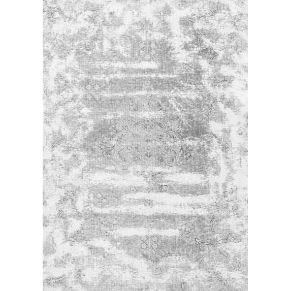 Ahgly Company Indoor Rectangle Persian Gray Bohemian Area Rugs, 3' x 5'