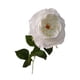thumbnail image 2 of Ramo de rosas artificiales de tallo largo hidratantes y realistas para fiestas. Blanco, 2 of 9
