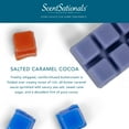 thumbnail image 4 of Salted Caramel Cocoa Scented Wax Melts, Scentsationals, 4 of 7