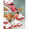 thumbnail image 1 of Eurasian Bullfinches Flag Garden Size, 1 of 1