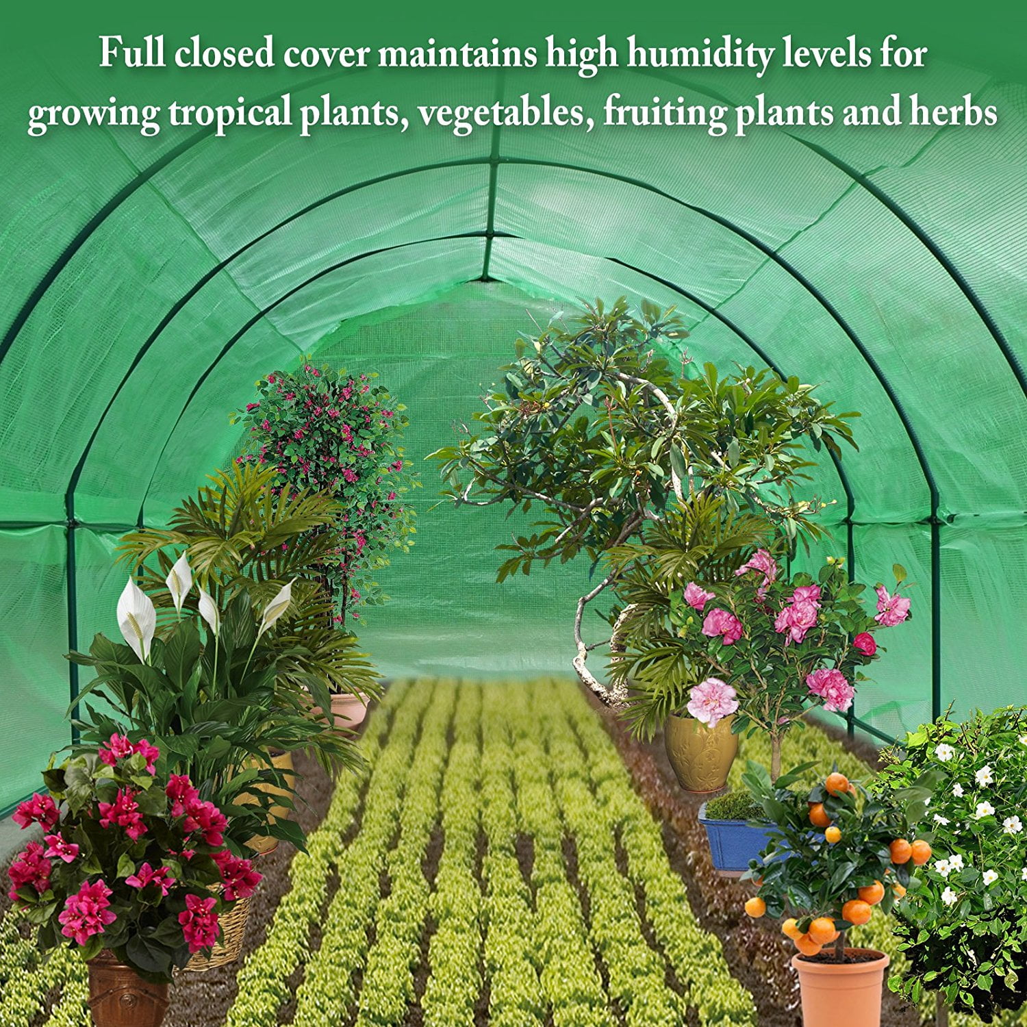 Sunrise Outdoor Large Heavy Duty Walk-In Plant Gardening Greenhouse, 20'x10'x7'