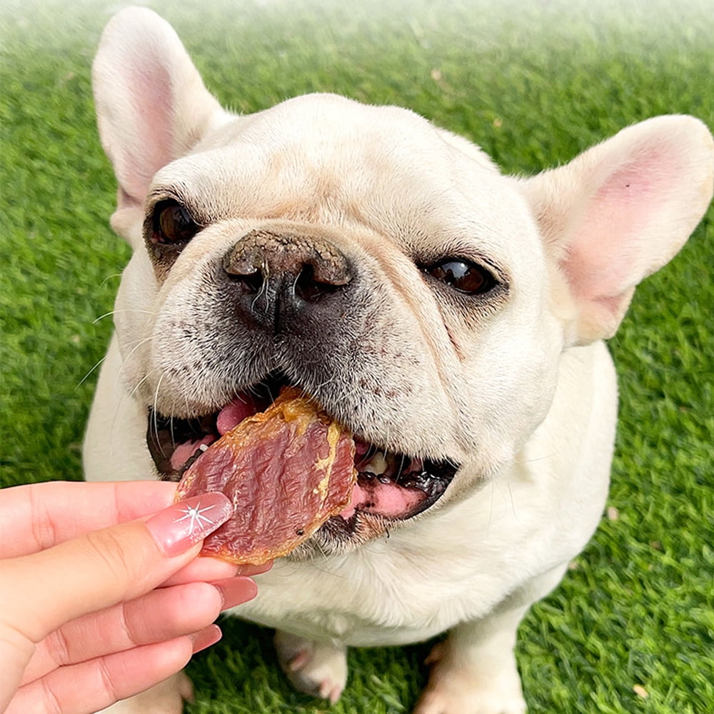 Grain-Free Chicken Gizzard Jerky For Dogs - All Natural Dog Treats for Small, Medium, & Large Dog - Made with Real Fresh Chicken Gizzard, Training Treats for Dogs, 3lbs
