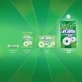 thumbnail image 4 of LIFE SAVERS Mints Wint-O-Green Hard Candy, 41 Ounce Party Size Bag, 4 of 9