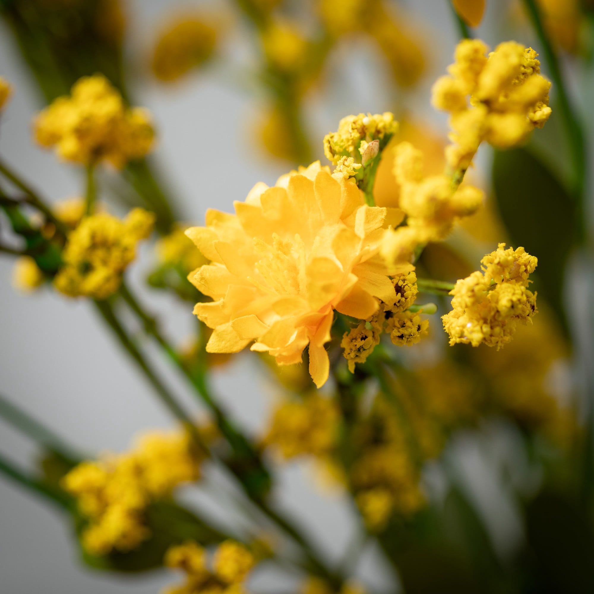 11"H Sullivans Yellow Wildflower Mini Wreath, Yellow