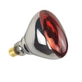 thumbnail image 4 of BONGBADA Lot de 2 Lampes Thermiques 250 Watts Ampoules Infrarouges Ampoule en Verre Rouge pour Service Alimentaire, Ampoule pour Couveuse, Poussins, Animal de Compagnie, Salle de Bain, Utilisation en Luminothérapie E26 B, 4 of 7