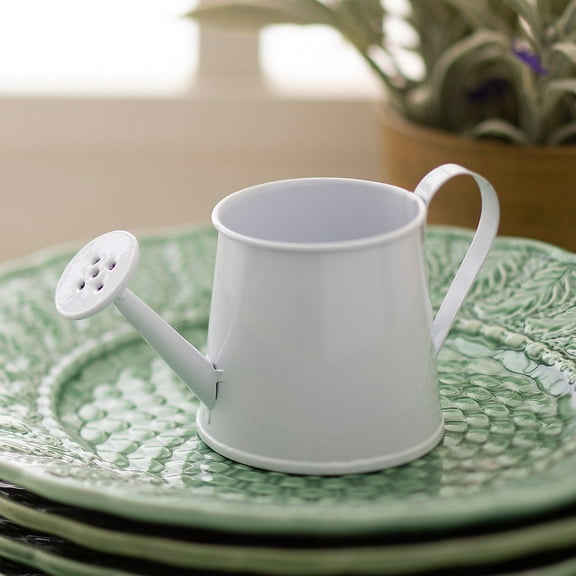 Fun Express Mini Watering Can Tabletop Decorations - 12 Pc
