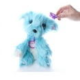 thumbnail image 3 of Little Live Scruff-A-Luvs Plush Mystery Rescue Pet - Blue, 3 of 6