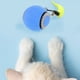 thumbnail image 1 of Bola De Juguete De Gato Interactiva, Bola De Rodadura Automática Inteligente Con Rutina De Sonido Y Dientes, Juguete Automático De Gato Automático Para Gatos Y Perros Interiores, 1 of 7