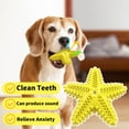 thumbnail image 4 of Starfish- Sound Teething Dog Toy, 4 of 4