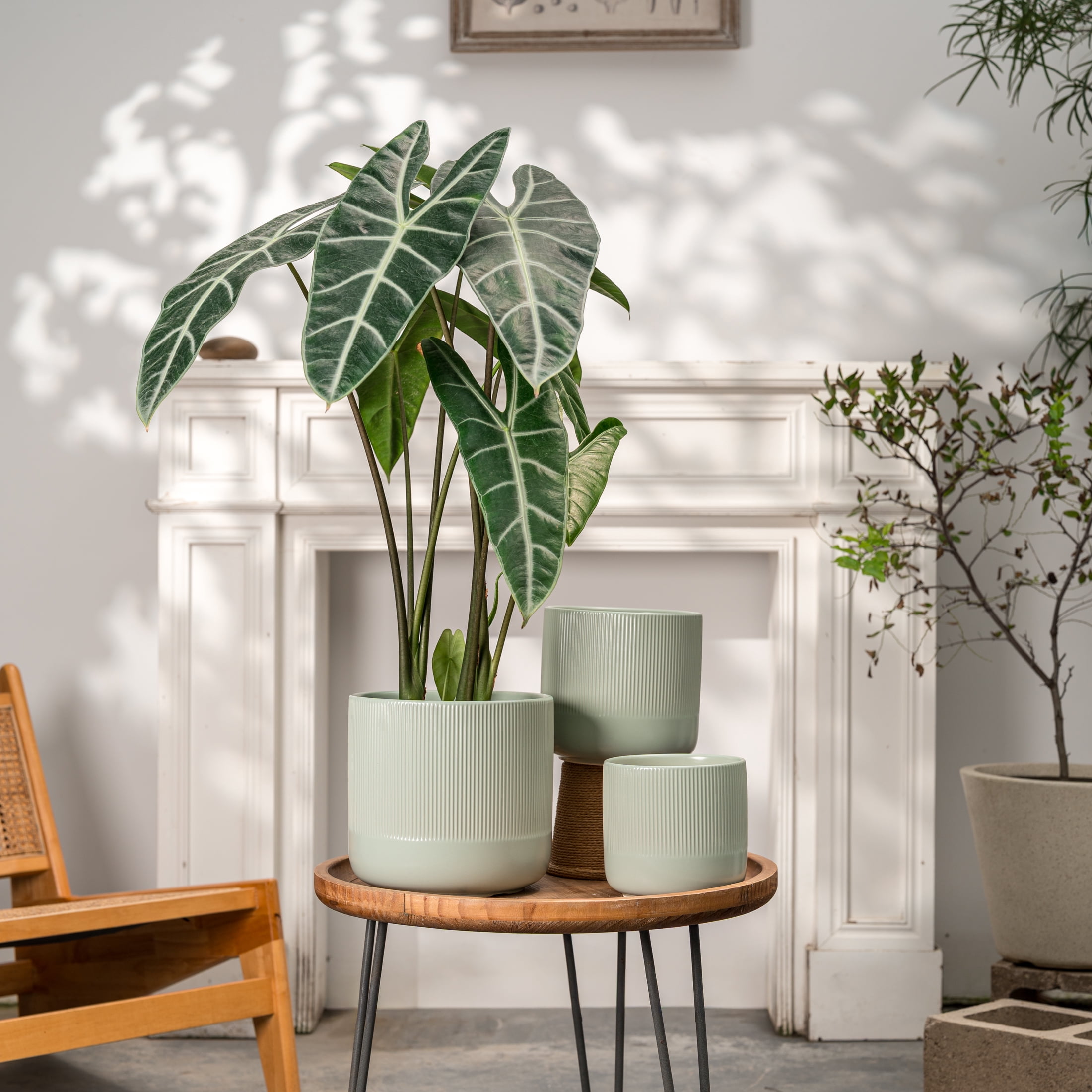 UMIAMOY Cylinder Ceramic Plant Pots,5.8+6.9+8.3 inch Plant Pots with Drainage Holes and Saucer,Set of 3 Ceramic Flower Pots for Indoor Outdoor Decoration,Light Green