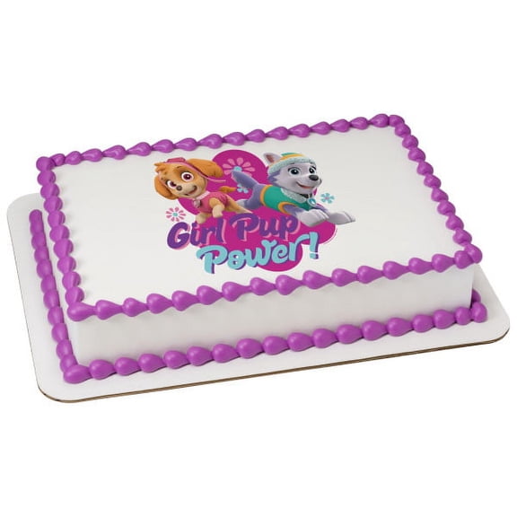 PAW Patrol Girl Pup Power Image Cake