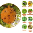 thumbnail image 2 of 6 PCS Fly Traps Ball Fly Trap Indoor, Hanging Fly Bugs Sticky Ball Outdoor, Gnat Trap Ball for House Plants Kitchen Drain Yard Garden (6PCS, Yellow), 2 of 18