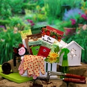 The Useful Gardener Gift Set