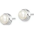 thumbnail image 2 of Sterling Silver Rhod-Plat 7-8mm White Button Fwc Pearl Earrings (9.1 X 9.1) Made In China qe15179, 2 of 5