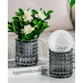 thumbnail image 6 of Self-Watering Flower Pots 4.5 Inch Clear Automatic Water Absorbing Plastic Flower Pots Round Hydroponic Plant Pots for All Plants, Succulents, Herbs, African Violets 2 Pieces, 6 of 7