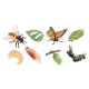 thumbnail image 2 of Juguetes de aprendizaje Strade Fareast Limited ciclo de vida de los animales Estilo A, 2 of 5