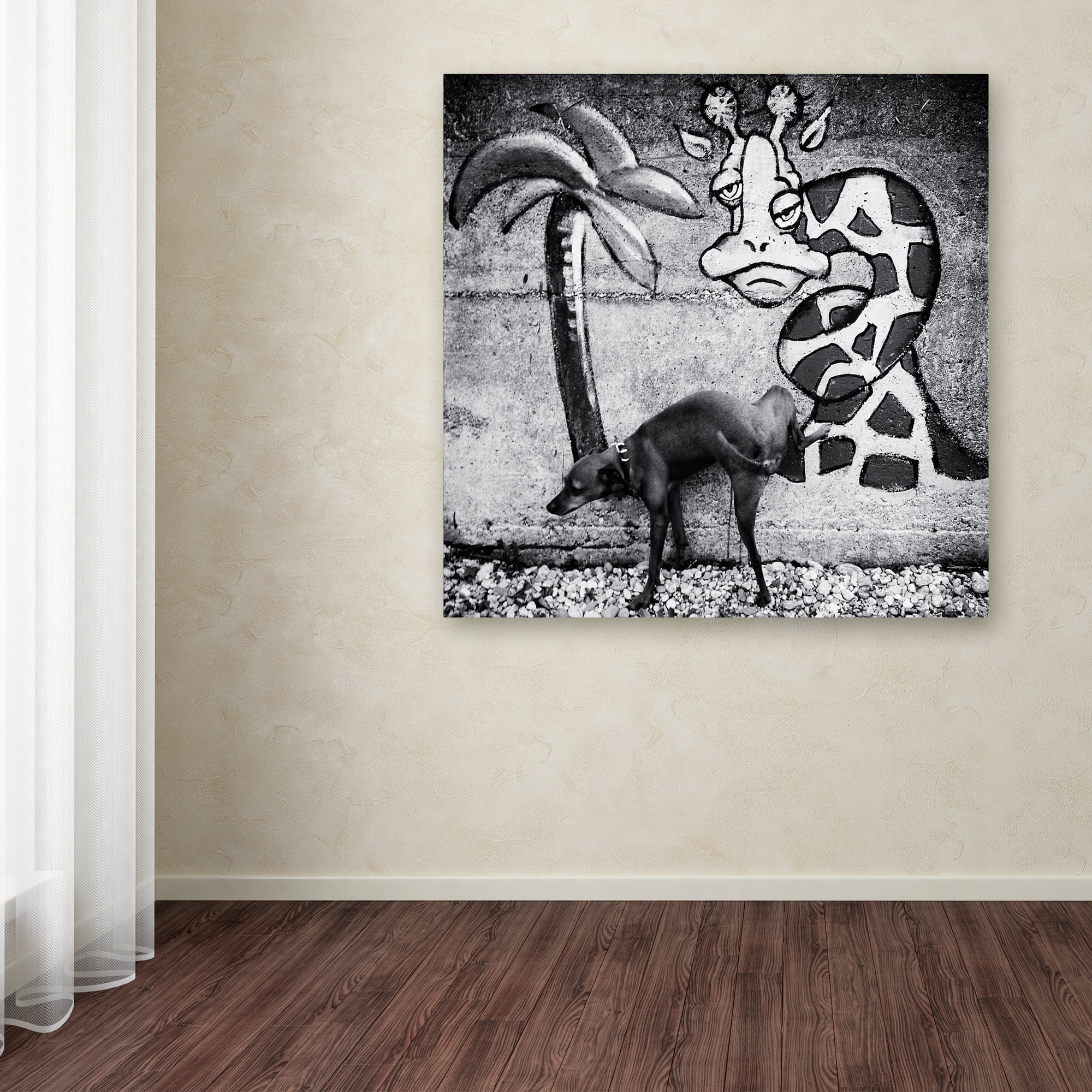 Trademark Fine Art 'Dog And Grafitti' Canvas Art by Christine Frick