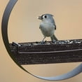 thumbnail image 3 of Mosaic Birds Bistro Bird Feeder - Premium Metal Bird Feeder, Chew-Proof, Weather & Water Resistant, 16.9oz, 1 Piece, Black, 3 of 8