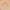 Coral-Marigold, variant on Little Star Organic Baby & Toddler Girl Short Sleeve Footless One-Piece, 2-Pack, Sizes 9M-5T