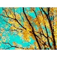 thumbnail image 2 of Stalus, Judy 14x12 Black Ornate Wood Framed with Double Matting Museum Art Print Titled - Autumn Tapestry IV, 2 of 4